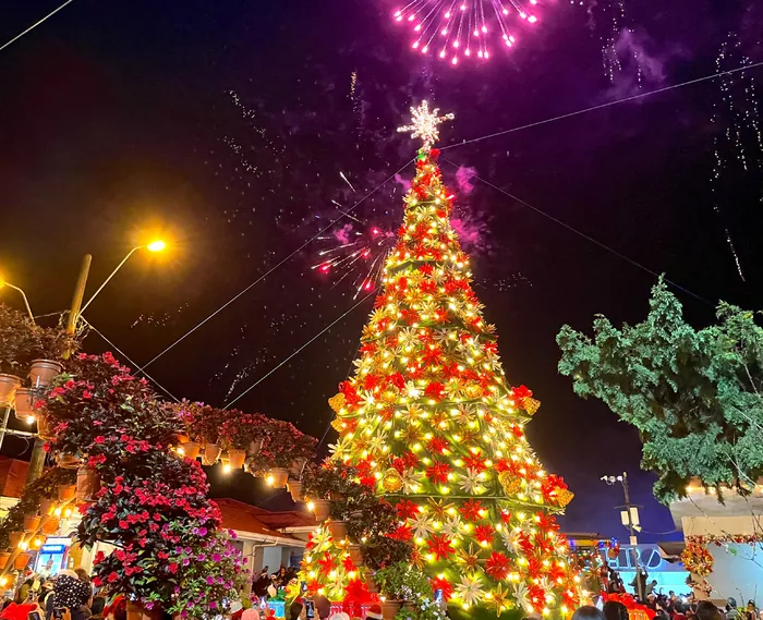 Header image of Eco Christmas 2024