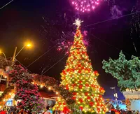 Imagen de cabecera de Eco Navidad 2024