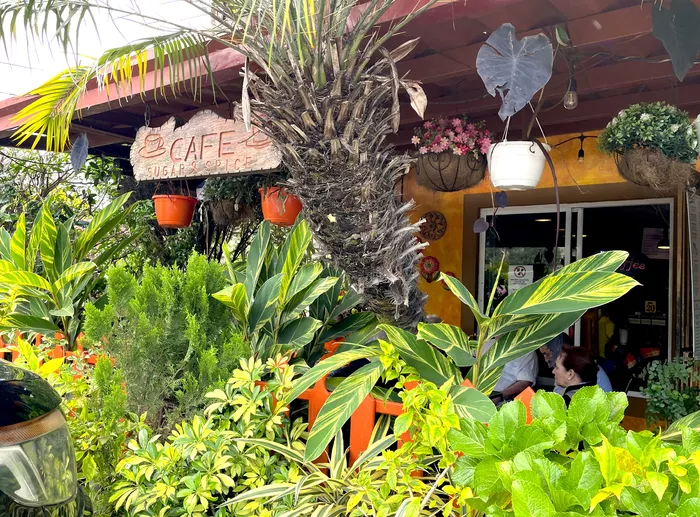 Image 237 of Sugar & Spice