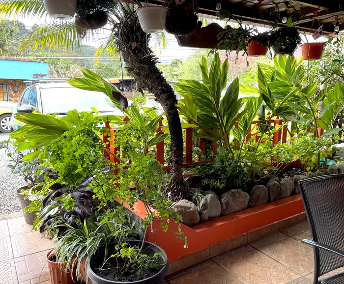 Image 240 of Sugar & Spice