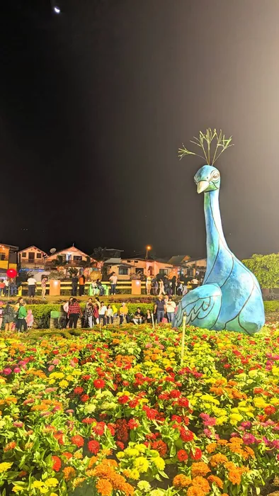 Image 317 of Feria de las Flores y del Café