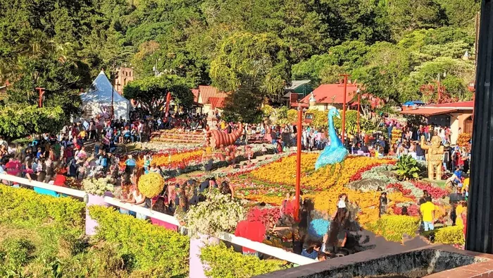 Image 318 of Feria de las Flores y del Café