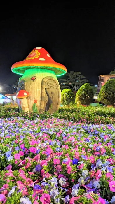 Image 319 of Feria de las Flores y del Café