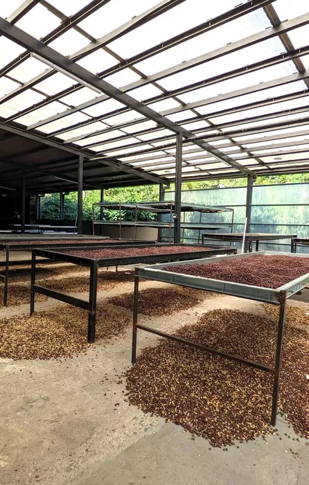 Imagen 436 de Altieri Specialty Coffee