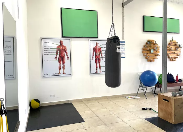 Image 473 of No Sweat