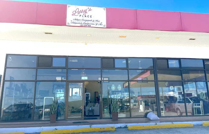 Image 502 of Larry's Place