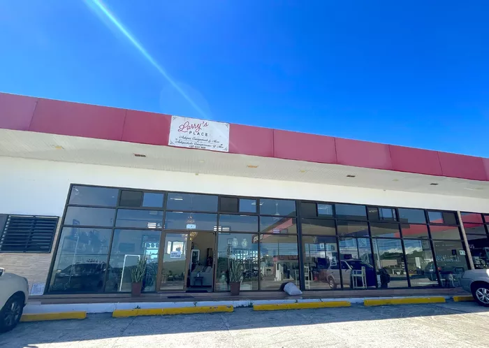 Image 503 of Larry's Place