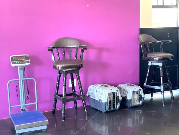 Image 629 of Nani's Pets