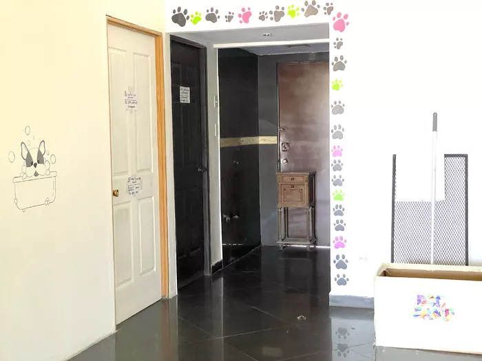 Image 630 of Nani's Pets