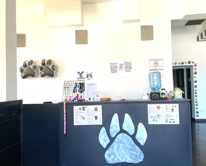 Image 631 of Nani's Pets