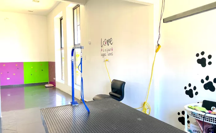 Image 633 of Nani's Pets