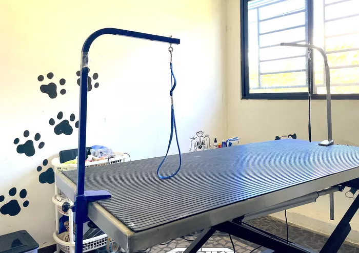 Image 635 of Nani's Pets