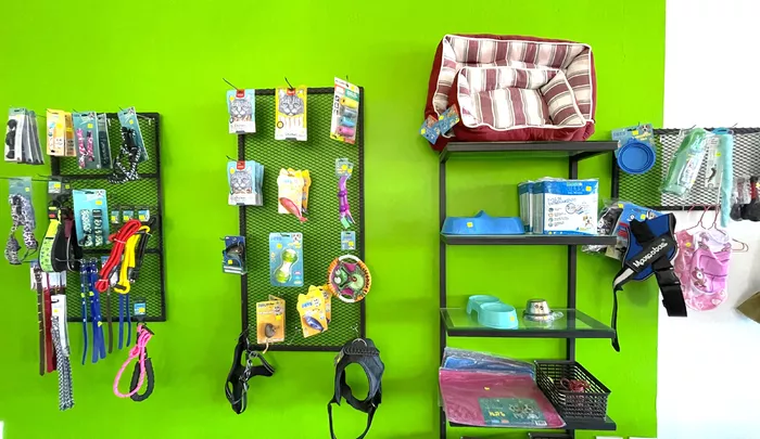 Image 636 of Nani's Pets