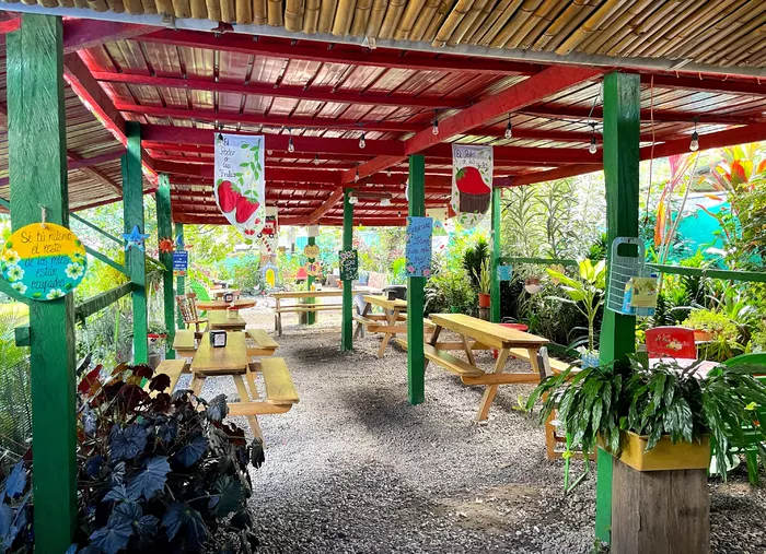 Image 715 of El Poder de las Frutas