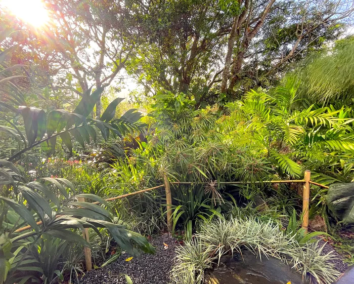 Imagen 736 de Big Daddy's Grill