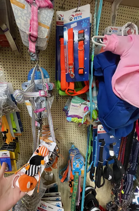 Image 80 of Mascotas y Jardines de Bqt