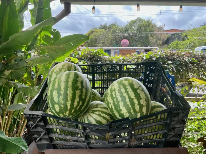 Image 89 of Frutas y Legumbres Caballero