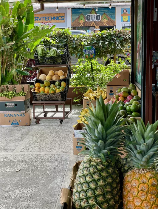 Image 90 of Frutas y Legumbres Caballero